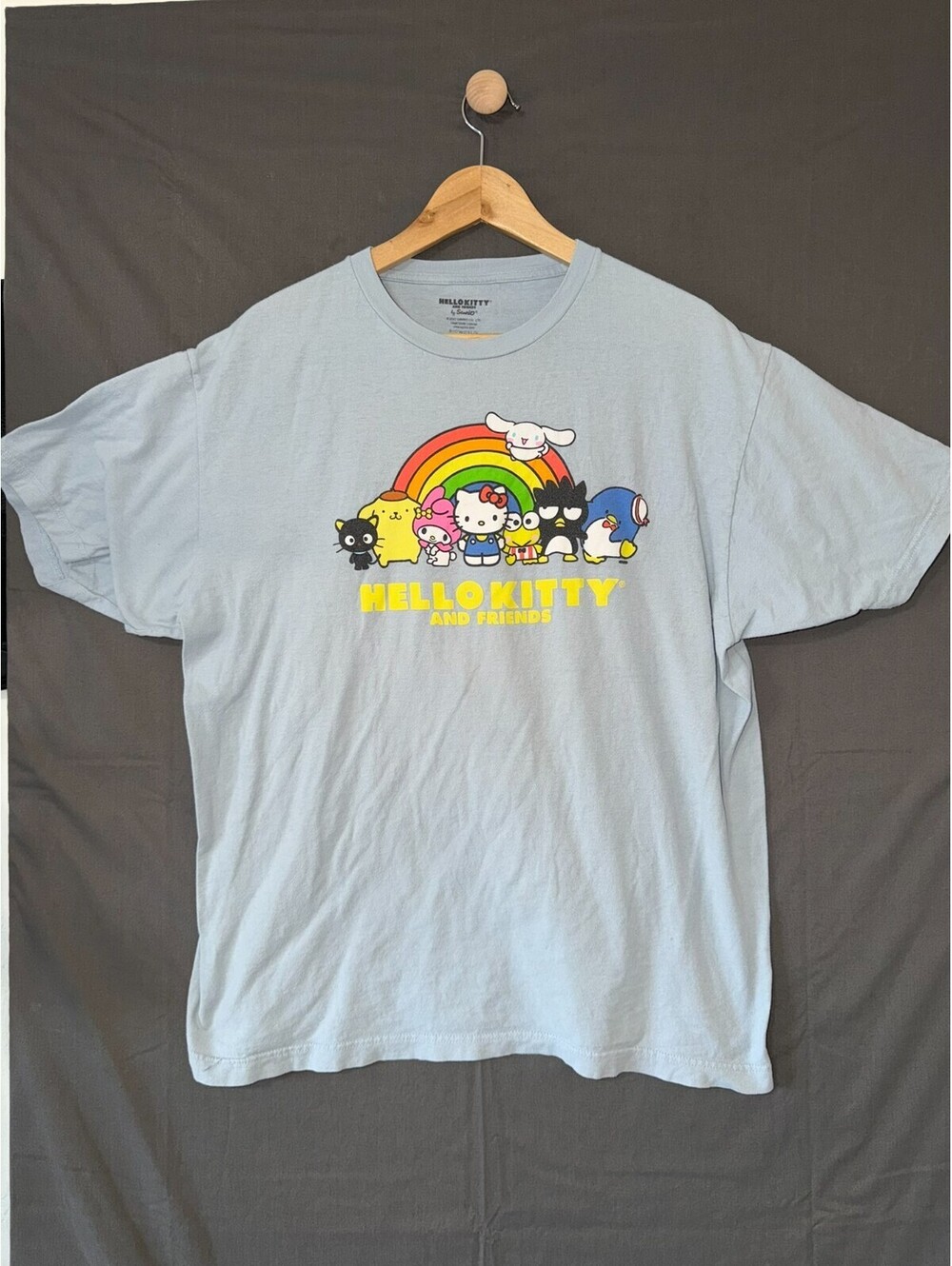 Hello Kitty & Friends Graphic T‑Shirt – Adult XL, Sanrio Rainbow Characters, Bio